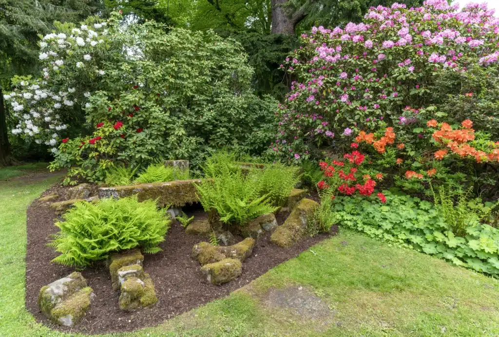 Création et aménagement de jardin à Soissons