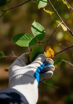 5 solutions pour l’entretien d’espaces verts à Soissons