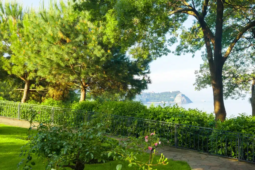 Aménagement extérieur à Soissons