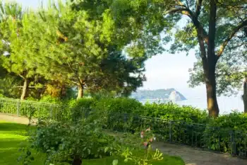 Aménagement extérieur à Soissons